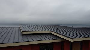 Best Metal Roofing Installation  in Edgewater, MD